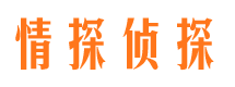 宁陕市婚姻出轨调查